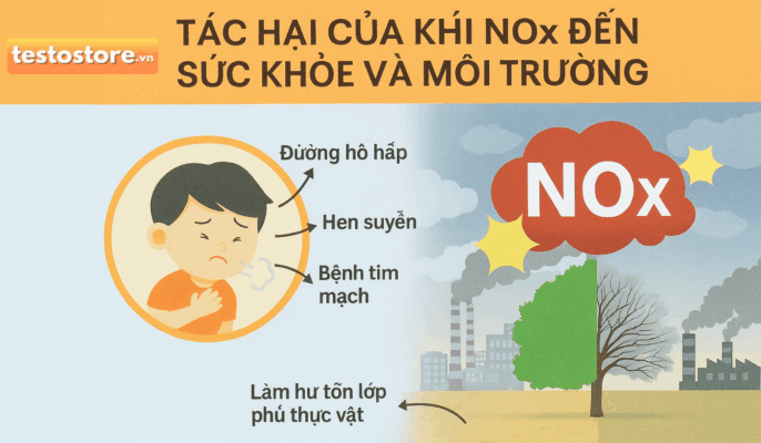 tac hai cua khi nox den suc khoe va moi truong