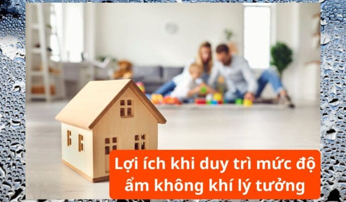 loi ich khi duy truy do am khong khi ly tuong