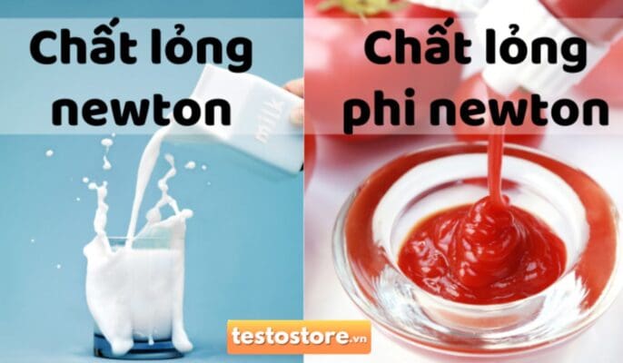 chat long newton va phi newton